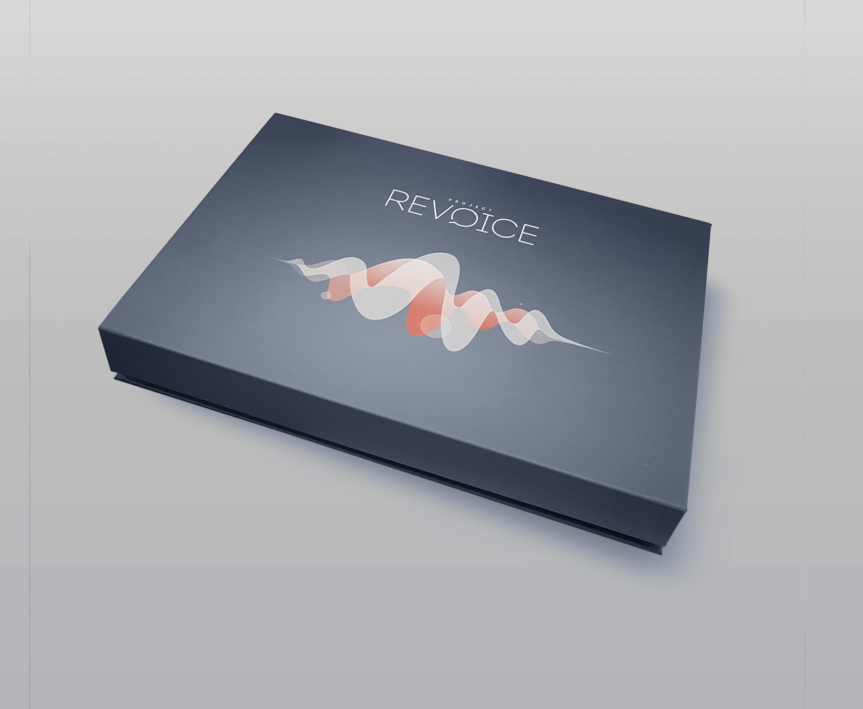 Revoice_Box_2b
