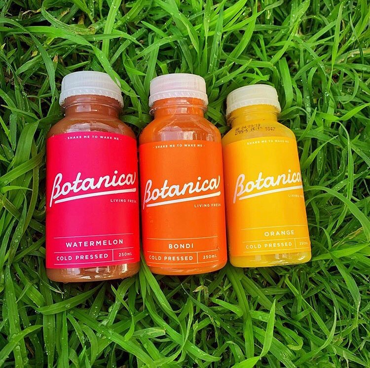 botanica_67368323_461661154685233_680806637488905922_n